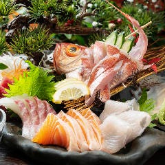 市場でなかなか出会えない美味しい鮮魚の仕入れにこだわります。