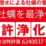 ～特許浄化法～
海洋深層水による牡蠣の畜養浄化