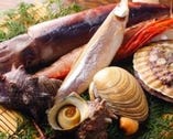 北海道産のホタテや大アサリ、エビ等海鮮食べるなら海ほたるへ！