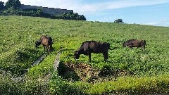 俺たち元気の源 淡路島炉端 ごっつ 