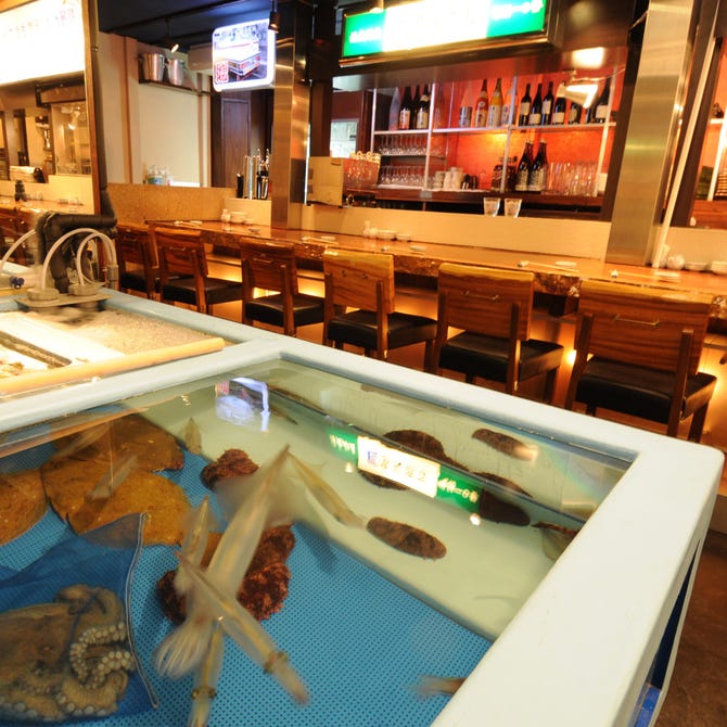 渋谷イカセンター 渋谷 海鮮 海鮮料理 ぐるなび