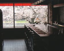 春には、桜の絶景が愉しめる癒し空間