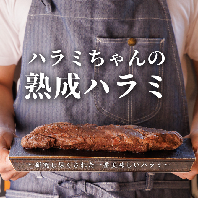 熟成ハラミと埼玉グルメ ハラミちゃん 大宮西口店 大宮 居酒屋 ぐるなび