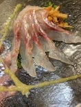 桜鯛のカルパッチョ