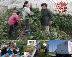 花様 ka－you 西梅田 近江野菜自家栽培ファーム直送店