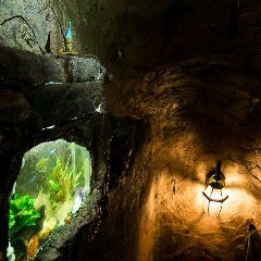 ラスコー洞窟への階段・熱帯魚が・・・