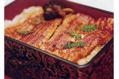 天然鰻（要予約、6月～10月ごろ）