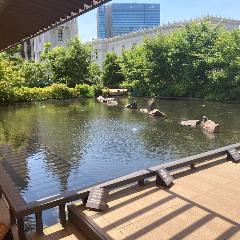 日本橋三越ビアガーデン グリルテラス日本橋_見晴らしのすばらしい庭園