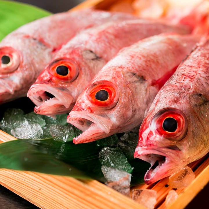 その日の朝獲れ鮮魚を直送！
何の魚が入るかはお楽しみ♪