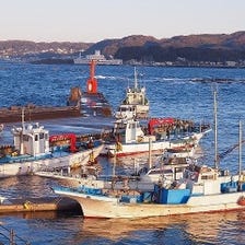 三崎長井漁港から直送した鮮魚を堪能