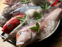 個室 旬和食 基 〜ｍｏｔｏｓｈｉ〜代々木店 