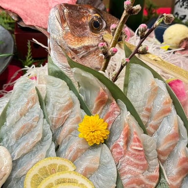 海鮮居酒屋 赤富士_【好評につき期間延長!】お造り5種盛り⇒鯛の姿造りに変更可能♪