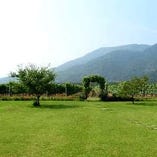 角田山の麓から始まった葡萄作り