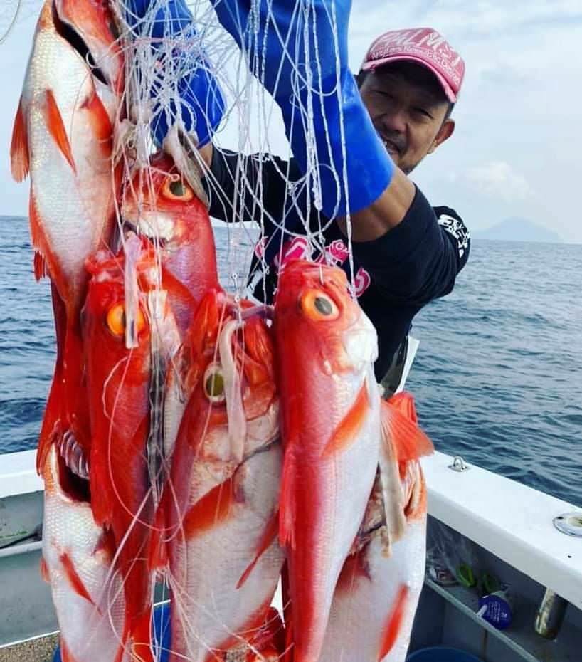 旬の肴と旨い酒 運勘根 自慢の食材 新島沖の金目鯛 ぐるなび