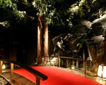 ［秋葉原 個室 居酒屋］清流 初つぼみ 秋葉原店の画像