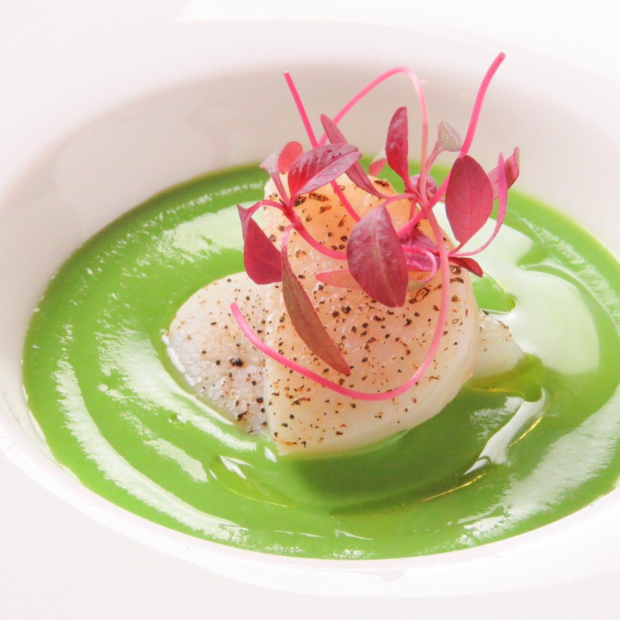 Ricetta Miyagawa Ristrante（リチェッタミヤガワリストランテ）（広島 