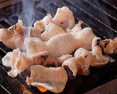 ホルモン焼肉 トンチャンバール 知多半田駅前店