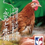 【佐賀県より直送】当店は「ふもと赤鶏」を使用！【佐賀県】