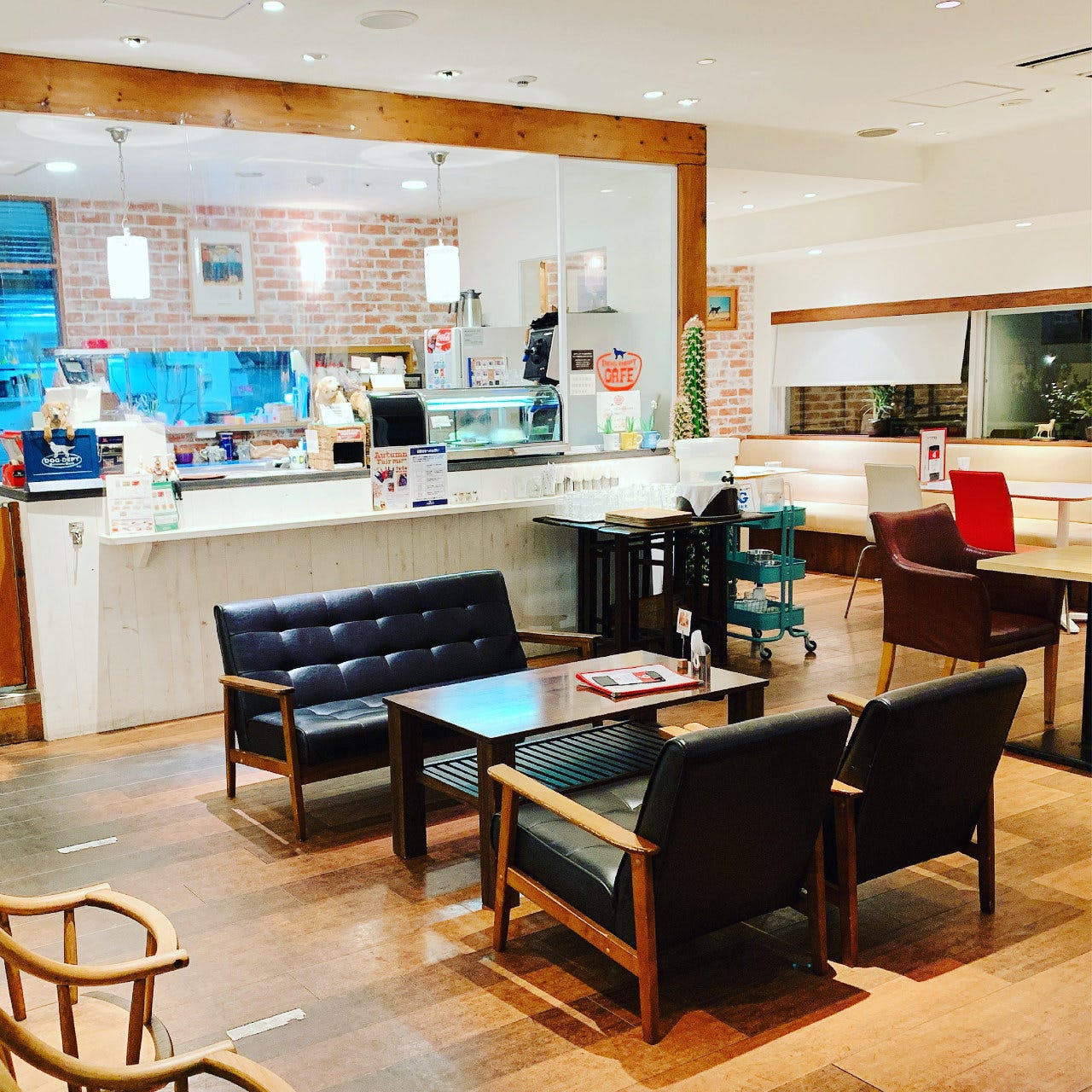 Dog Dept Cafe玉川店 二子玉川 用賀 ドッグカフェ ぐるなび