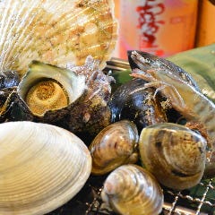 浜盛り