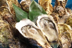 新鮮生牡蠣