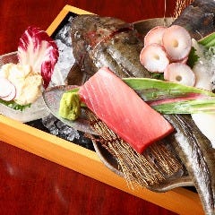 日本全国から直送される鮮魚！