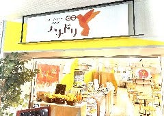 ハチドリ