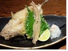 法善寺横丁 おかず居酒屋 くう