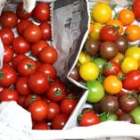 早川農園さんのミニフルーツトマト。の一口頬張ればそのポテンシャルに感動すら覚えるトマトです。真夏は美味しく育たないので栽培しない徹底ぶりに、職人のこだわりがうかがえます・・・！！　是非！