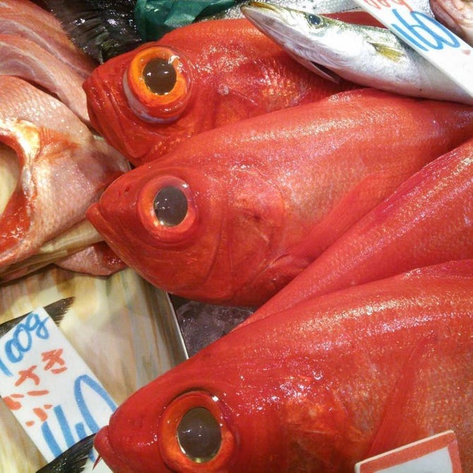 オサカナヤ 魚哲 中目黒店 中目黒 居酒屋 ぐるなび オサカナヤ 魚哲 中目黒店 中目黒 居酒屋 ぐるなび