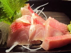 ふぐ料理 佐留丹（さるたん）