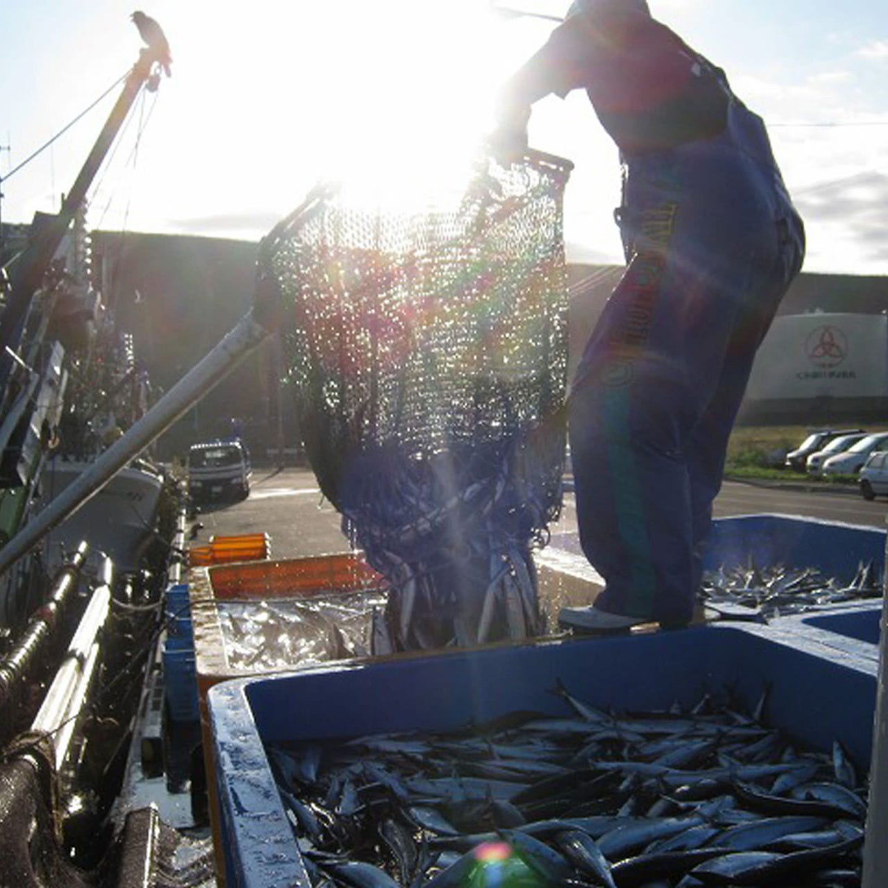 明石の魚の棚、昼網でとれた新鮮な魚介をそのままに贅の極み。