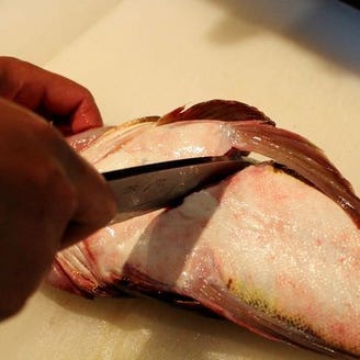 和っちゃんや メニュー 活魚 珍魚 鮮魚 ぐるなび