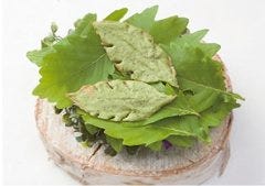 クリスマスディナー特集 帯広 十勝のクリスマス特別コースがあるお店 クリスマスディナー デートにおすすめのお店 ぐるなび