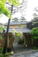 平等院表参道 竹林