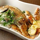 銚子漁港直送の新鮮な鮮魚の数々【千葉県銚子産の新鮮な鮮魚】