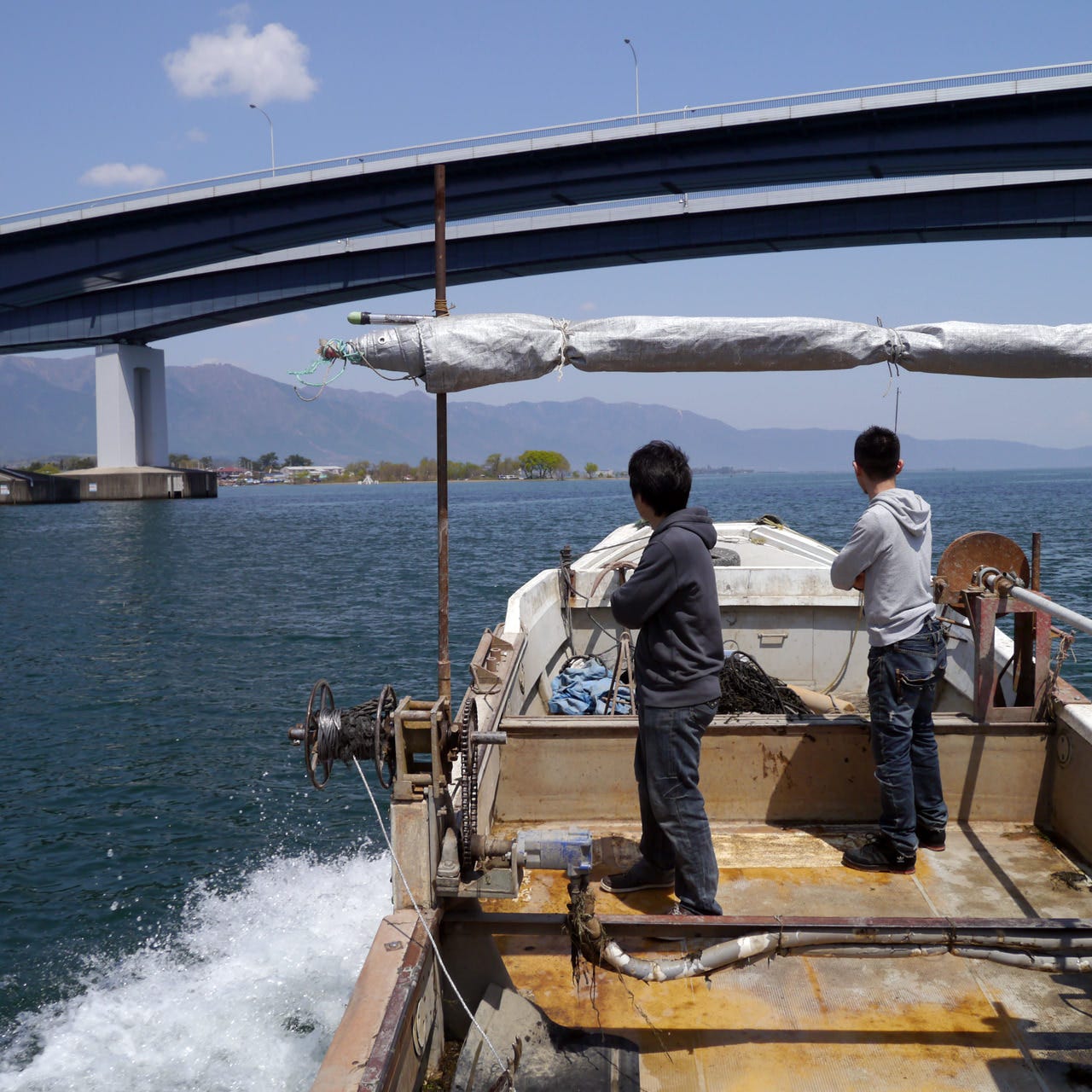 堅田漁港水揚げの琵琶湖魚