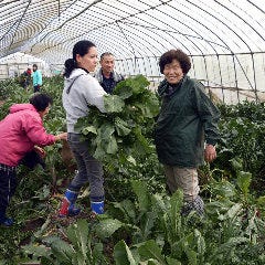 京橋で記念日のディナーにおすすめな個室があるお店 京橋で記念日のディナーにおすすめな個室があるお店