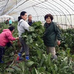 京橋で記念日のディナーにおすすめな個室があるお店