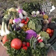 近江野菜100種類以上