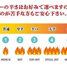 子供から大人まで楽しめる