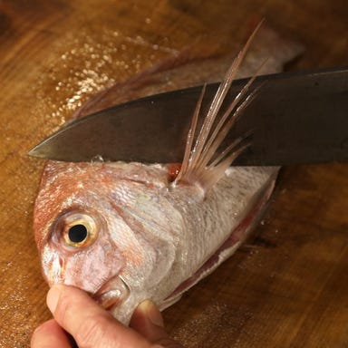 浜松地魚料理 魚魯魚魯  漁港産直鮮魚と美味い地酒 メニューの画像