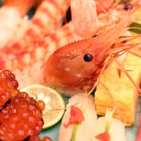 築地 すし一番 4丁目場外市場店_【月】コース お造り、にぎり、揚げ物など充実の内容をリーズナブルに楽しめるプラン