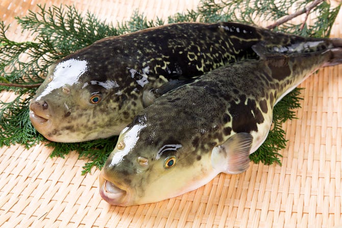 玄品 仙台一番町 仙台 ふぐ ふぐ料理 ぐるなび