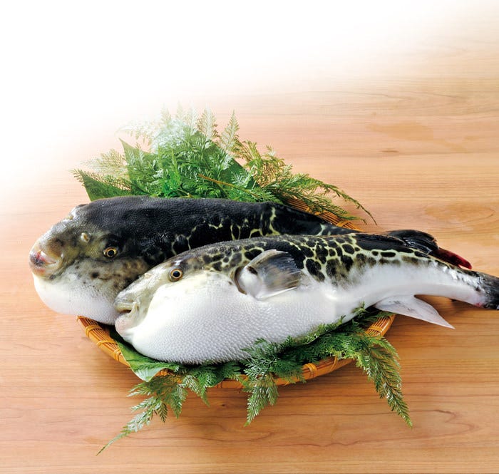 Guenpin (Sendai/Fugu (Puffer Fish / Blowfish)) - GURUNAVI Restaurant Guide