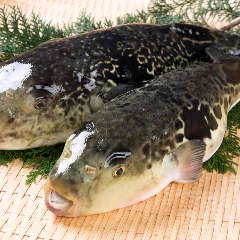 玄品 仙台一番町 仙台 ふぐ ふぐ料理 ぐるなび