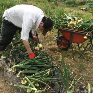 平河町 川澄 こだわりの画像