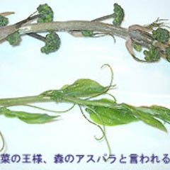 平河町 川澄