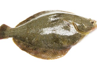 太助寿し メニュー 逸品の魚と料理 ぐるなび