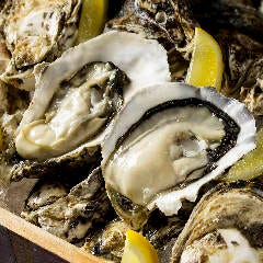 牡蠣とワイン酒場 FISHMANS SAPPORO 